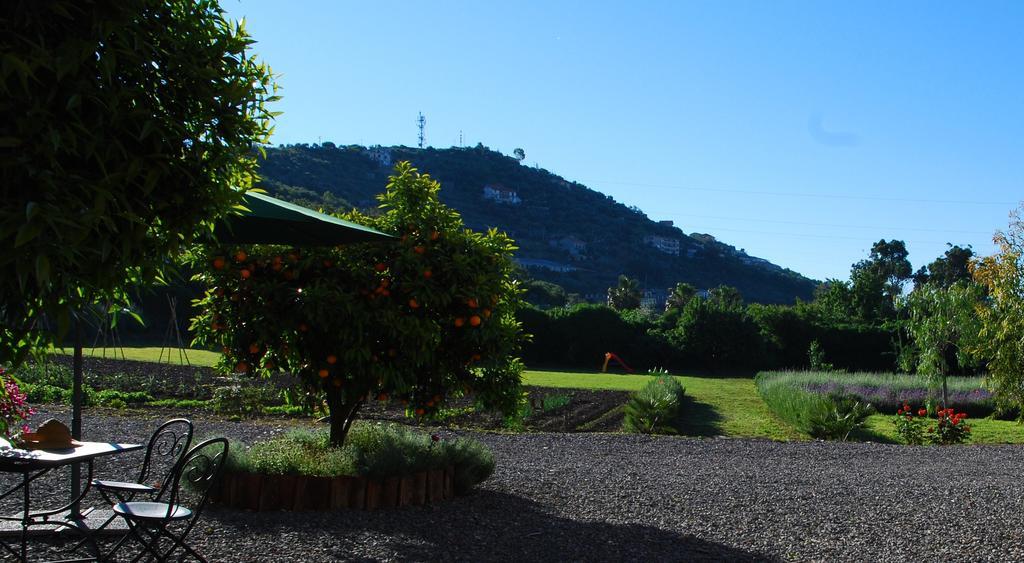 Vila Agriturismo Coppi Rossi Torrazza  Exteriér fotografie